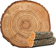 hjc黄金城_hjc黄金城·(集团)官方-首页